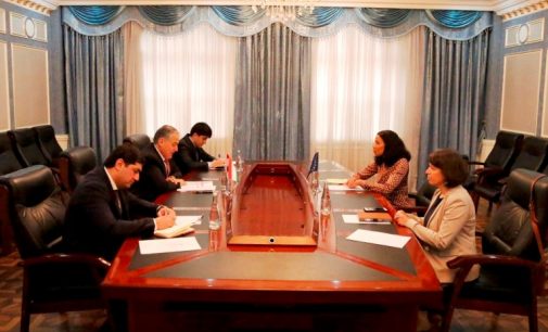 EU Intends to Provide Tajikistan with €48 Million to Mitigate COVID-19 Pandemic Consequences