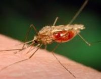 Tajikistan Receives the Malaria-Free CountryCertificate